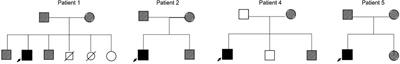 Genetic and Clinical Characteristics of Patients With Homozygous and Compound Heterozygous Familial Hypercholesterolemia From Three Different Populations: Case Series